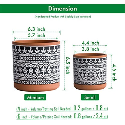 D'vine Dev 2-Pack Terracotta Pots, 4/6 in, Terra/Black, 31-958-F-2 - color: Terracotta/Black