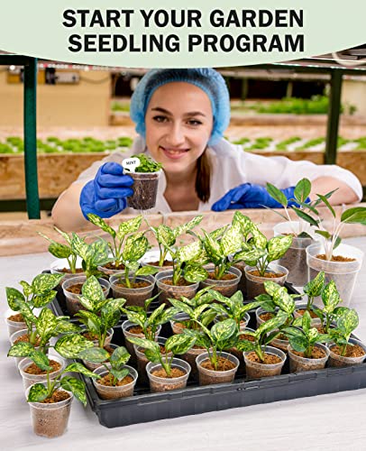 homenote 4 Inch Clear Nursery Pots for Plants with 20 Plant Labels (60 Pcs) - color: Transparency-no Lid, size: 4 Inch-60 Pack