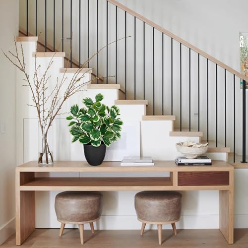 Villa Como 14.5" Artificial Plants Indoor Small Faux Peperomia Plant - color: #Funny White Margin