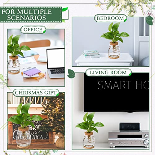 Nuanchu 4 Pcs Desktop Plant Terrarium Vase, Large