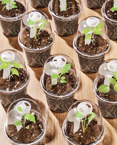 homenote 3 Inch Nursery Pots with Humidity Domes for Seed Starting (30 Pcs) - color: Transparency-with Lid, size: 3 Inch-30 Pack