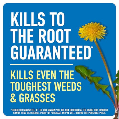 Roundup Weed & Grass Killer4 Concentrate, 1 gal. - size: 1 gal. Conentrate