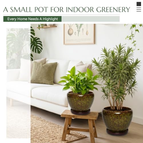 10.6 Inch Ceramic Planter with Saucer for Indoor Plants(Speckled Green) - color: Speckled Green, size: 10.6 Inch