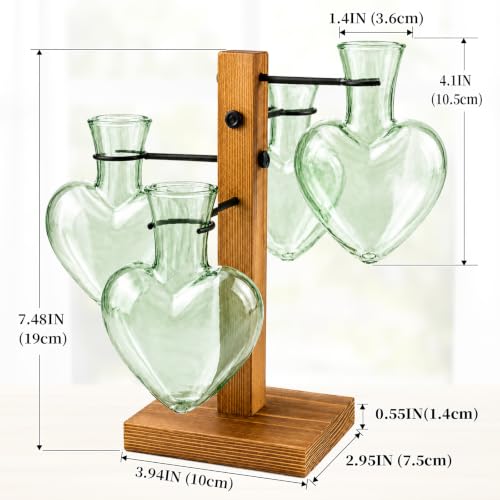 Plant Terrarium Propagation Station with 4 Heart Glass Vases - Green - color: Green