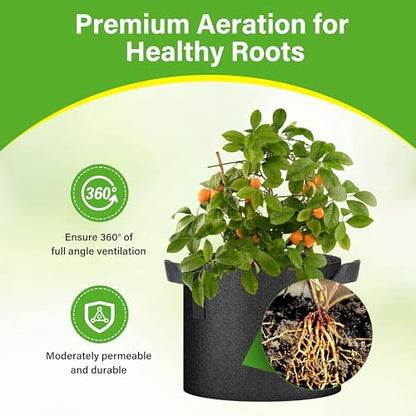 HealSmart 6-Pack 5 Gallon Grow Bags, Nonwoven Aeration Fabric Pots with Handles, Cloth Plant Pots, Suitable for Garden Fruits, Vegetables, Tomato and Flowers, Black - color: Black 6 Pack, size: 5 Gallon