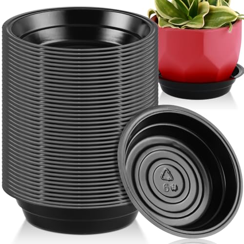 20 Pack 6 Inch Black Plastic Plant Saucers for Indoor & Outdoor Plants, No Holes, Water Catcher Tray, Small Flower Pot Saucers, Bulk Plant Drip Trays - color: Black, size: 6 inch: 20 pcs