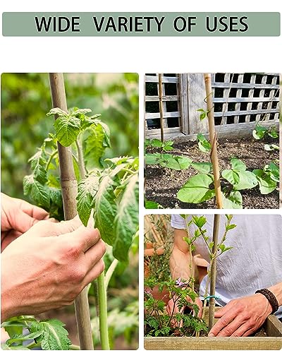 4 Ft Bamboo Stakes with 100 Twist Ties Natural Bamboo Garden Stakes for Tomatoes Cucumber Grapes Pole Beans Trees Potted Dahlia Flowers and Climbing Plants - Pack of 25 - size: 4 FT-25PACK & Ties