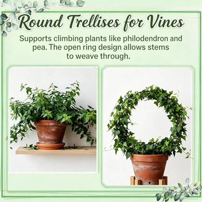 3 Pcs Hoya Trellis Set, Heart Shaped Plant Stand,