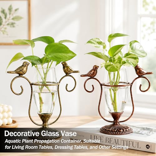 2 Pack Desktop Plant Propagation Terrarium with Metal Stand - color: Bird, size: 7.1"×6.6"