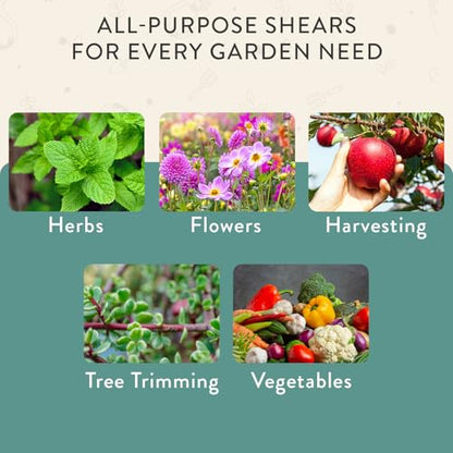 Modern Sprout Pruning Shears - Garden Snips - Herb Scissors - Ocean 1-Pack - color: Ocean