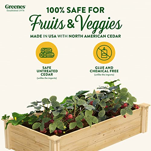 Greenes Fence Premium Cedar Raised Garden Bed, 2' x 4' x 10.5" (3/4" Thick) (2-Pack) - Made in USA with North American Cedar - size: 2' W x 4' L x 10.5" H (2-Pack)