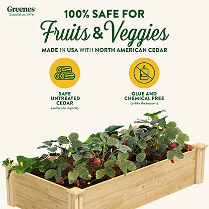 Greenes Fence Premium Cedar Raised Garden Bed, 2' x 4' x 10.5" (3/4" Thick) (2-Pack) - Made in USA with North American Cedar - size: 2' W x 4' L x 10.5" H (2-Pack)