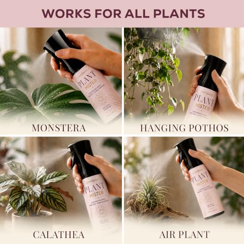 Plant Mister Spray Bottle for Indoor Plants With Plant Care Guide - color: Pink Astrology