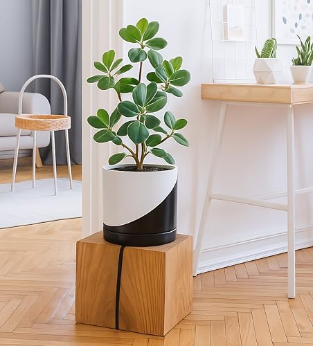 D'vine Dev 8.2 Inch Ceramic Planter Pot, Black White Diagonal, 94-O-D-K - color: Oblique Monochrome Black & White, size: Medium
