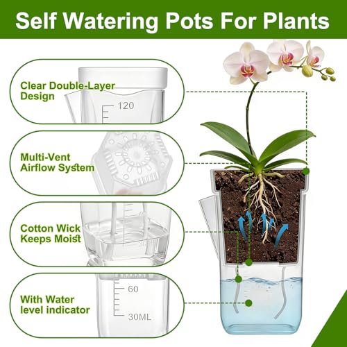 HITOSTAR 6 Pack 2 Inch Mini Clear Self Watering Pots for Indoor Plants, Small Plastic Planters with Drainage, Hydroponic Nursery Propagation Cups, for African Violet Alocasia Pot (2 Inch, 6 Pack) - size: 2 Inch