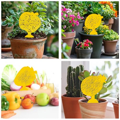 60 Pack Fruit Fly Traps Fungus Gnat Traps, Fruit Shape Yellow Sticky Bug Traps for Indoor Outdoor Plants, Dual-Sided Sticky Traps for Whiteflies, Aphids & Flying Insects - size: 60Packs