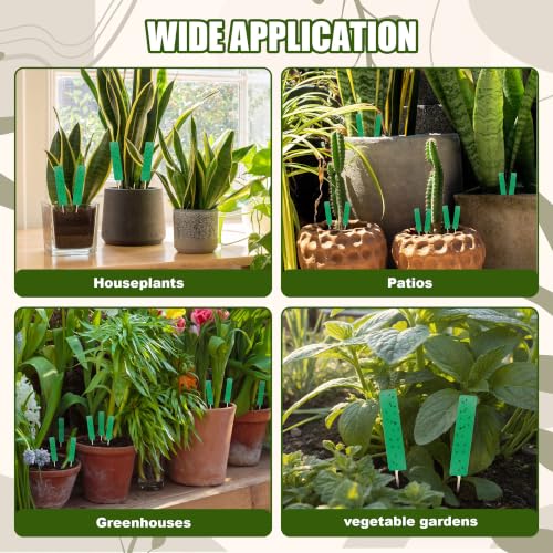 36 Pcs Green Sticky Traps for Plant Gnats, Fungus Gnat Trap (4" x 1") - color: Green