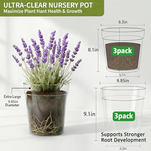 8/10 Inch Large Clear Nursery Pots with Drainage, 6 Pack - size: 10/8inch