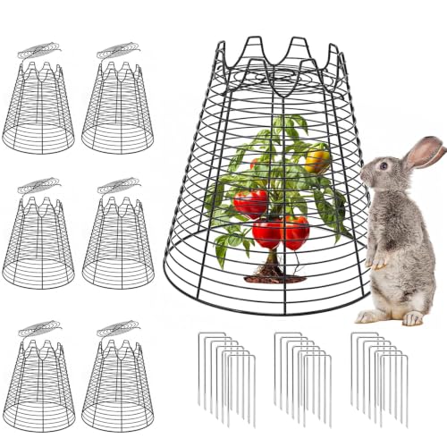 6 Pcs 11.6"×11.6" Garden Cloches for Plants, Sturdy Metal Plant Cages to Keep Animals Out, Reusable Wire Plant Covers, Black Plant Protector from Squirrels, Rabbits, Birds - size: 6 pack