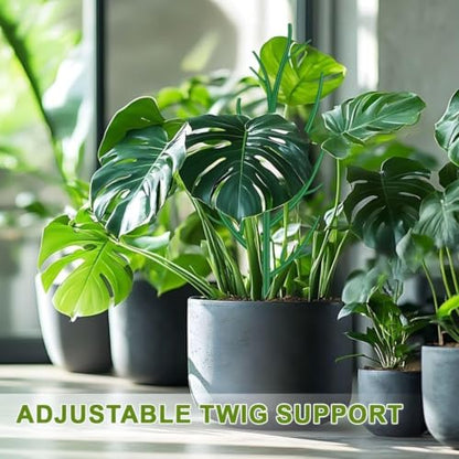 SupKing 8 pcs Adjustable Monstera Plant Support Garden Stakes Stackable Branch Plant Stakes for Indoor Plants, Vine, Photos, Climbing and Potted Plants Come with 30 Pcs Plant Twist Tie