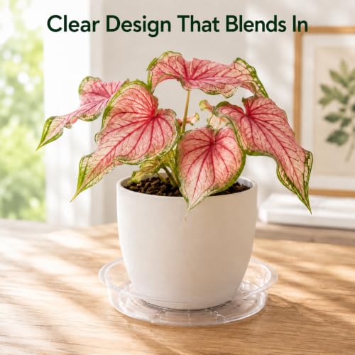 Gardzen Heavy Duty Clear Plastic Plant Saucers, Flower Pot Tray - Excellent for Indoor & Outdoor Plants (13-Inch, 10-Pack) - size: 13 Inch