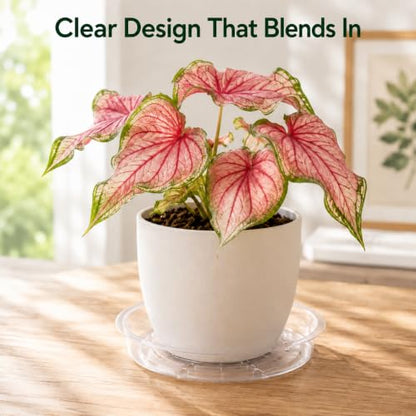 Gardzen Heavy Duty Clear Plastic Plant Saucers, Flower Pot Tray - Excellent for Indoor & Outdoor Plants (13-Inch, 10-Pack) - size: 13 Inch