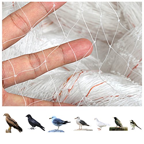 GWHOLE 33x13 Ft Bird Netting for Garden,1 Inch Mesh Size, White - size: 33x13 ft, 1x1 inch mesh (Clear)