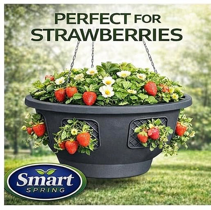 Ultimate Hanging Baskets - Strawberry, Tomato, Flower, and Herb Outdoor Planters - Use Garden Pots for Growing Plants Outside On A Deck, Fence, or Balcony (2) - color: Gray