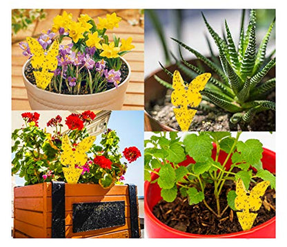 12 Pack Yellow Sticky Bugs Traps for Indoor/Outdoor Use, Gnat Trap for Flying Plant Insect Such as Fungus Gnats, Whiteflies, Aphids, Fruit Fly, Leafminers- Disposable Glue Trappers