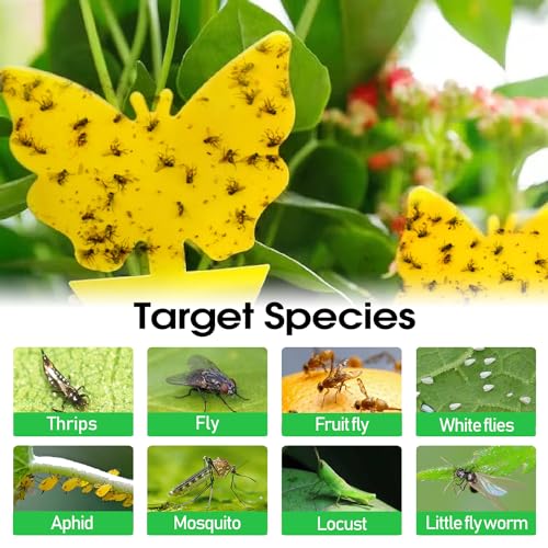58 Pack Yellow Sticky Gnat Traps for Plants - Fungus Gnat Killer, Fruit Fly Traps for Indoors, Gnat Sticky Traps for Plants, Family Friendly Design, Sunflower + Butterfly Shapes
