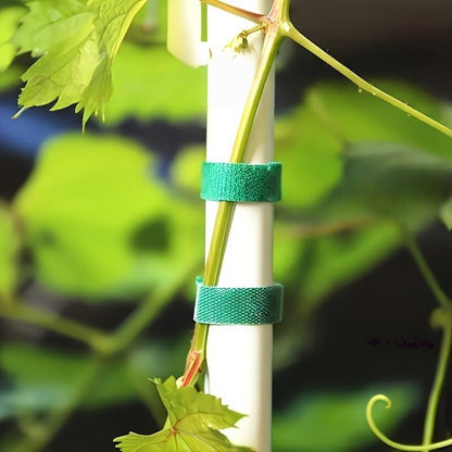 Gardening Plant Ties Self Adhesive Reusable Adjustable 39.4 Inch 3/5/10 Pack for Stems Trellis Vines Indoor Outdoor, 10pcs - size: 10pcs