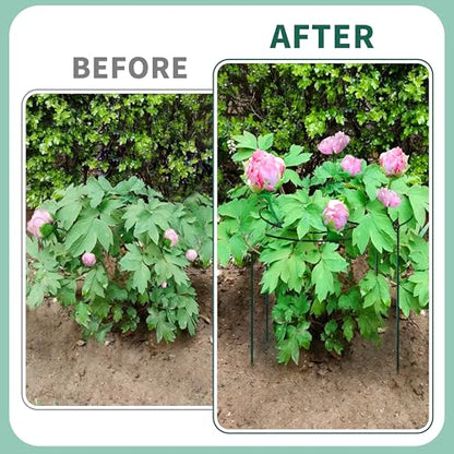 4 Sets Peony Support Cage,18"Diax24"High Heavy Duty Metal Plant Support,Grow Through Hoops Grids with 4 Thickened 6mm Legs,Strong Support Brace for Heavy Blossoms,Flower Support Ring for Peonies,Rose - size: 18"X24"-4PCS