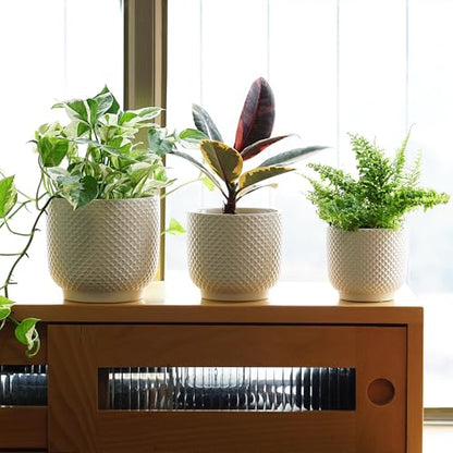 4 + 5 + 6 Inch Ceramic Pots for Indoor Plants, Succulents Plant Pots, Orchid Flower Pot with Drainage Hole, Modern Clay Stoneware Planters, Set of 3 (White, 4+5+6 Inch) - color: White