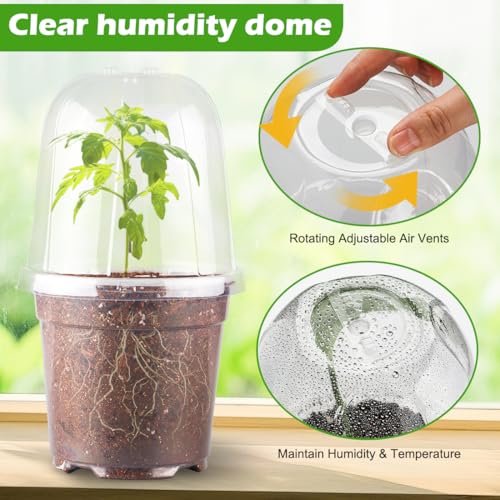 RooTrimmer 6 Inch Clear Humidity Dome, 30 Pcs Adjustable Plant Pot Domes Compatible with 6" Nursery Pots, Reusable Transparent Grow Dome Cover for Seed Starter Pots Outdoor Gardening Plant Growth - color: Clear Plant Pot Domes-30p, size: 6Inch