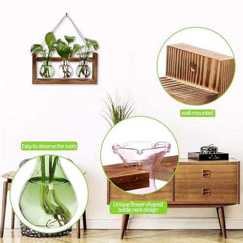 Plant Propagation Station Plant Terrarium Unique Birthday Gifts for Women - color: Color02