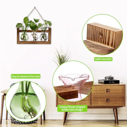 Plant Propagation Station Plant Terrarium Unique Birthday Gifts for Women - color: Color02