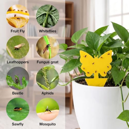 120 Pack Fungus Gnat Traps for House Indoor, Yellow Sticky Traps for Plants - size: 120 packs