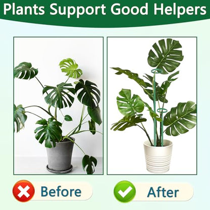 Telescoping Monstera Plant Stakes, 12.5-48.4IN Indoor Plant Support- 3Pack - size: 3pcs