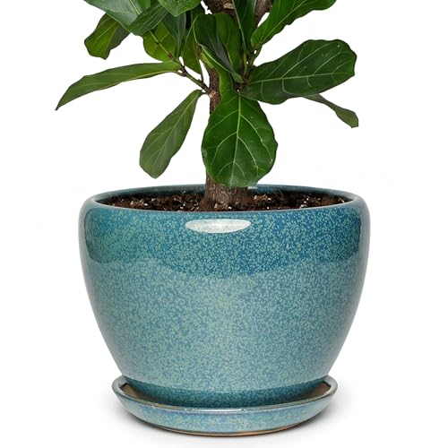11 Inch Ceramic Plant Pot with Drainage Hole Mesh Net, Large Gardening Pots for Indoor Plants with Saucer, Crackle Blue - color: Crackle Blue, size: 11 Inch