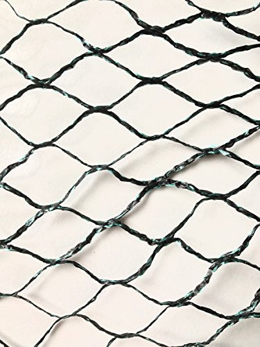 Bluefire Direct Commercial Grade Heavy Duty Polyethylene Anti Bird Netting for Garden Blueberries Fruit Trees Poultry Cage Pond Net Reusable Does not Tangle Snag or Rot (20 ft x 33 ft)