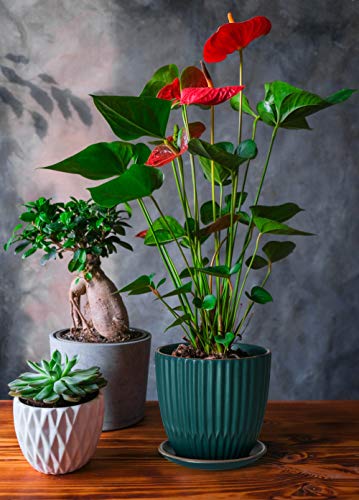 D'vine Dev 2-Pack Stoneware Planter Pots, 4.5/5.8 in, Deep Teal, 99-D-4 - color: Dark Blue Green