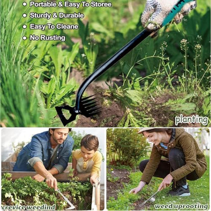Weed Puller Tool,Crack Weeder Tool, Stainless Steel Crevice Weeding Digger Tool, Paving Brick Moss Removal,6 Teethes Dual Purpose Hand Weeder Tool for Yard Garden, Lawn Edger and Driveway(3 Pcs)
