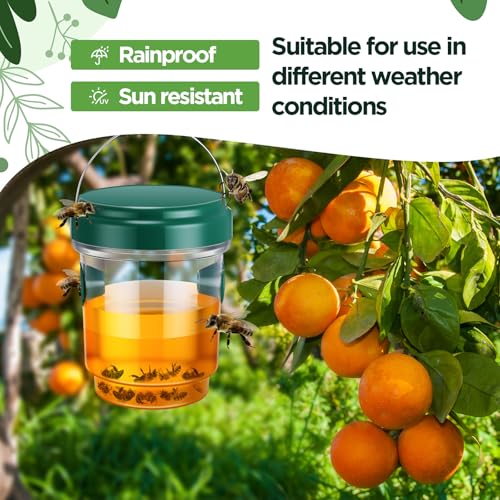 Qualirey 6 Pcs Wasp Traps for Outdoors Wasp Killer Hanging Bee Traps Reusable Fly Bee Killer for Indoor Outdoor Patio Garden Home (Green)