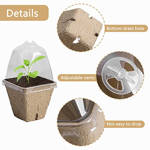 PURPLE STAR 1N 20 Pcs Biodegradable Nursery Pots with Humidity Dome- 2.3 Inch Square Seeding Starter Pot for Planting- Peat Pots for Seedlings Garden Vegetable Flower Germination - color: S-20pcs