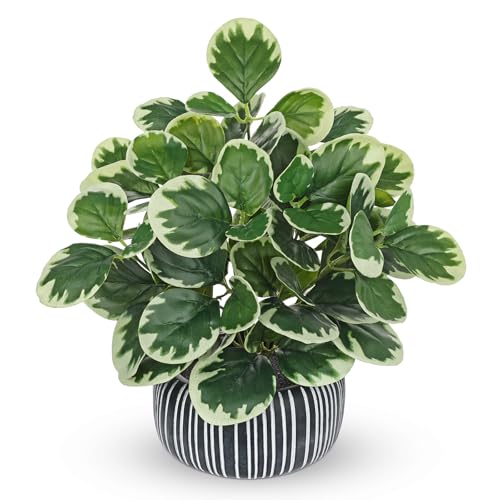 Villa Como 13" Artificial Plant Indoor Small Fake Plant in Oval Ceramic Pot - color: #Green #1