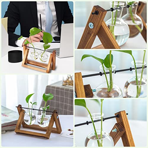 Kingbuy Glass Desktop Planter with Retro Wooden Stand, 2 Bulbs - size: 2 Bulb Vase