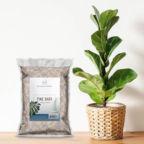 100% Natural Pine Bark Mulch Nuggets (8 Quarts), Small Mulch Chips for Indoor/Outdoor Container Gardening, Ideal for Soil Supplement, Houseplant Mulch - size: 8 Quarts