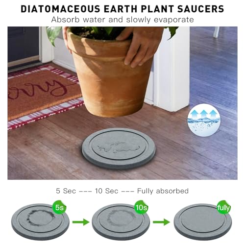 Azhou 2-Pack Absorbent Diatomaceous Earth Plant Saucers with Velvet Bottom - size: 12 Inch
