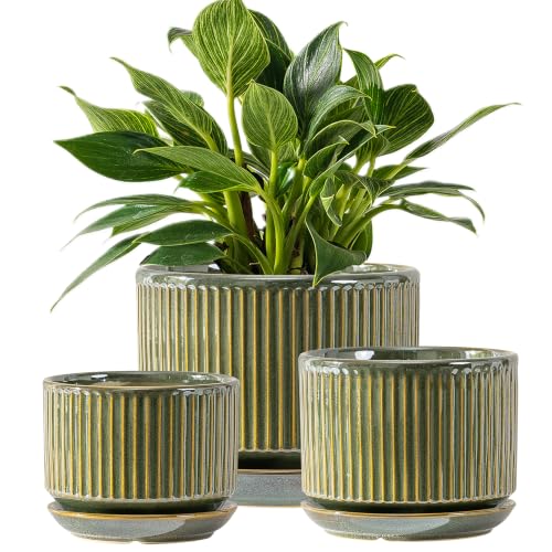 SURE YUESI Ceramic Plant Flower Pots for Indoor Plant, 4.33"+5.5"+6.88", Set of 3, Orchid Pot with Drainage Hole, Saucer and Hole Mesh Pad for Succulents, Herbs and African Violet (Light Green) - color: Light Green
