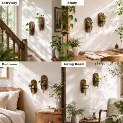 Artilady Plant Propagation Station Wall Hanging, Thick Wood Terrarium Tube - color: Oval B